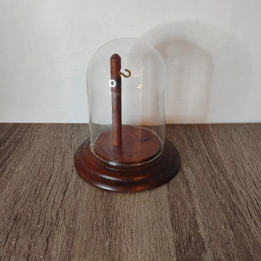 Elegant Glass Dome with Wooden Base - Picture 1 of 5